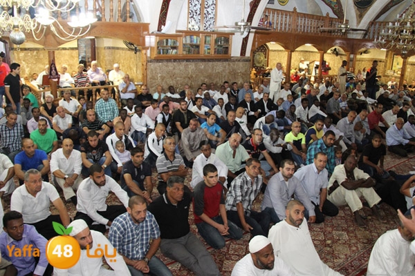 3eed ad7a akber 0510 (7).JPG